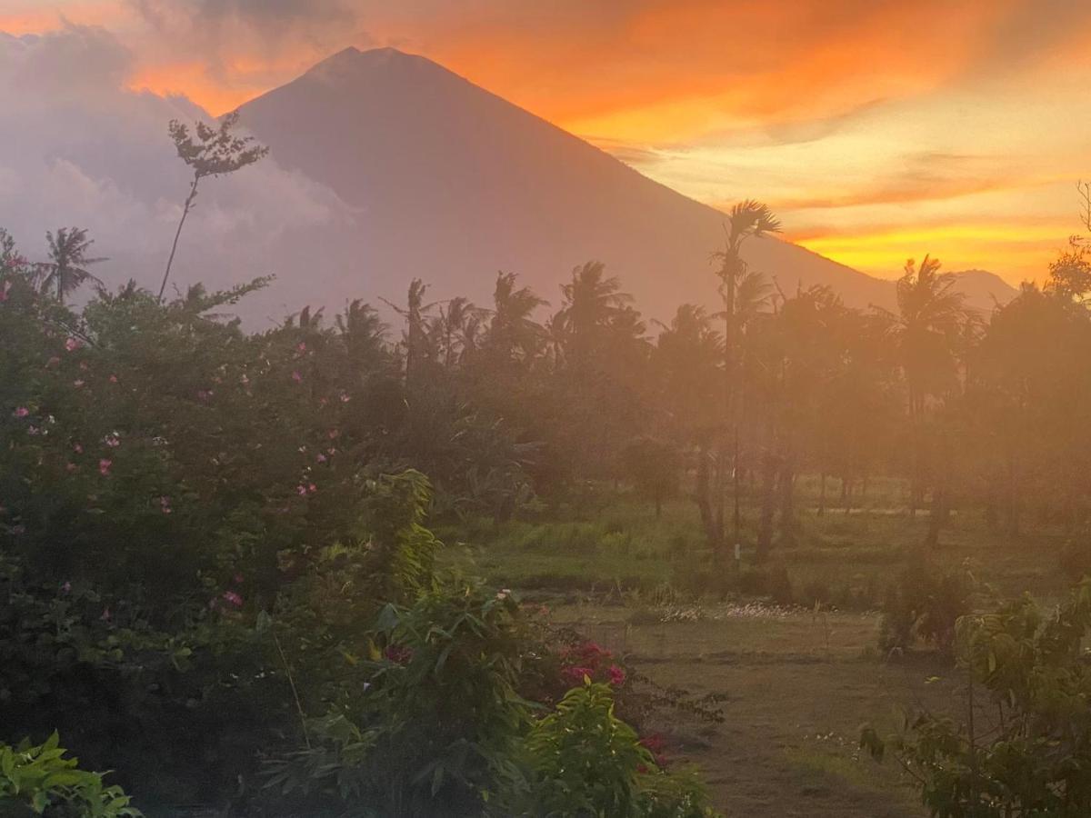 Bali Amed Feel Home Villa エクステリア 写真